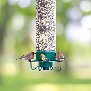 Hängender Vogelfutterspender Für Den Außenbereich