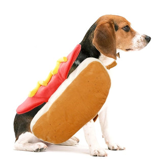 Haustierkostüm im Hot-Dog-Stil