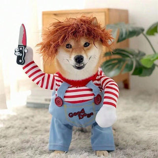 Hunde Halloween Kostüm