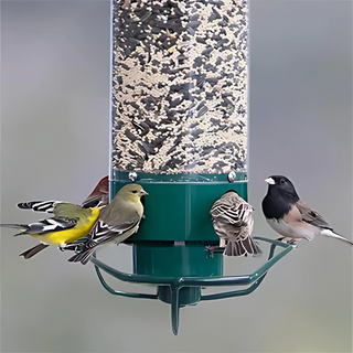Hängender Vogelfutterspender Für Den Außenbereich