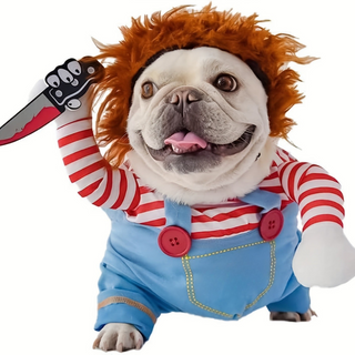 Hunde Halloween Kostüm