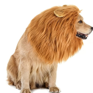 Realistisches Löwenmähnen-Halloween Kostüm für Hunde