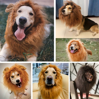 Realistisches Löwenmähnen-Halloween Kostüm für Hunde