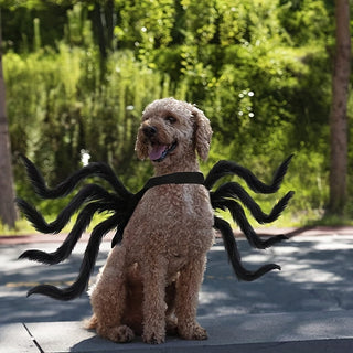 Spinnen-Halloween Kostüm für Hunde