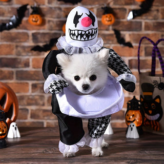 Hundekostüm im Clown-Stil