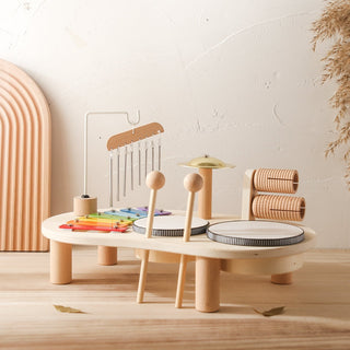 Pädagogisches Musikspielzeug-Set