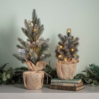 Beleuchteter Mattierter Mini-Weihnachtsbaum