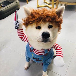 Hunde Halloween Kostüm