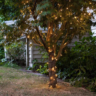 Festliche Lichterketten für Weihnachtsdekoration