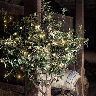 Grünes Kabel Weihnachtslichterkette